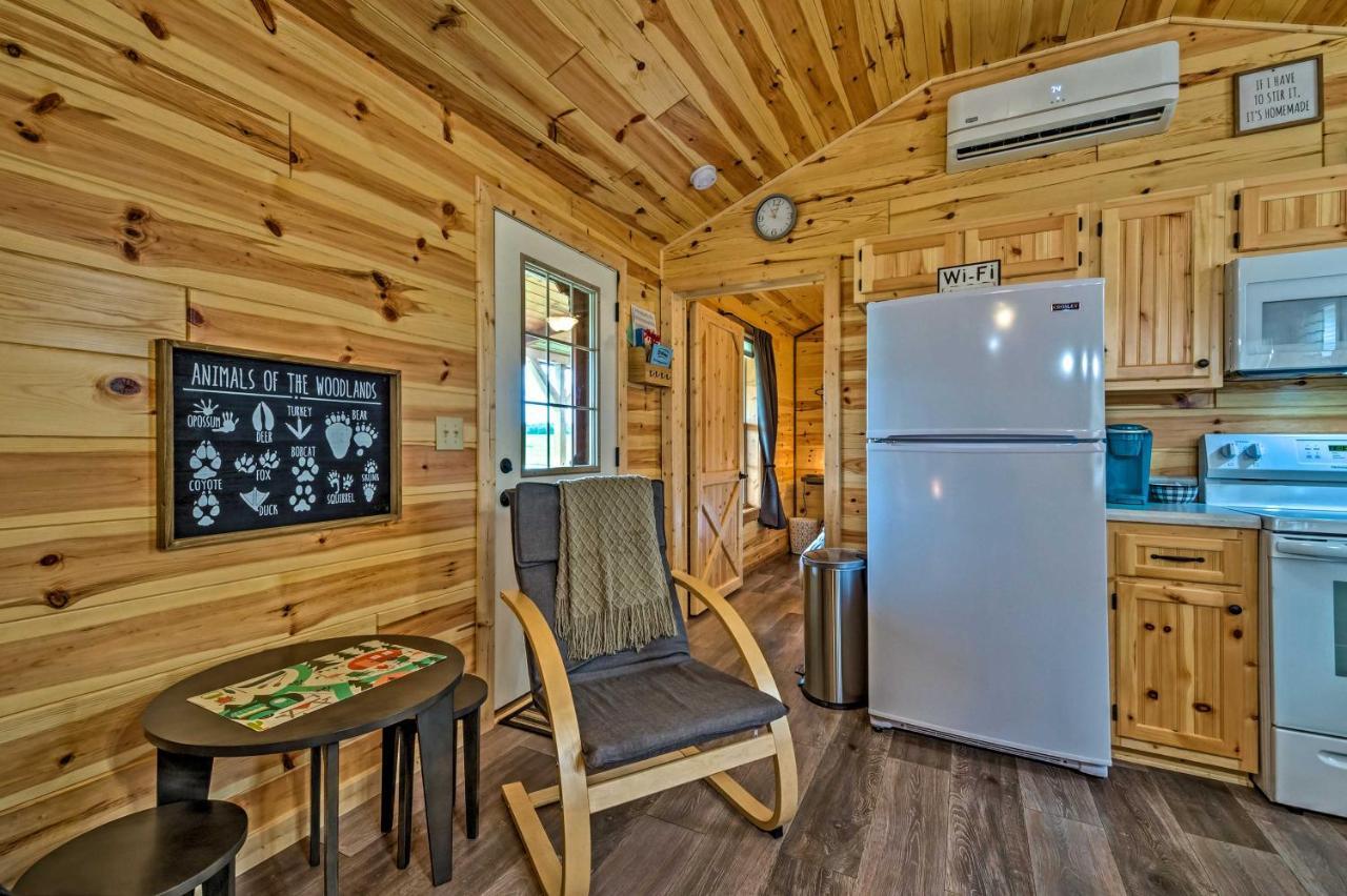 Cozy Lakefront Cabin With On-Site Waterfall And Hiking Cub Run Exterior photo